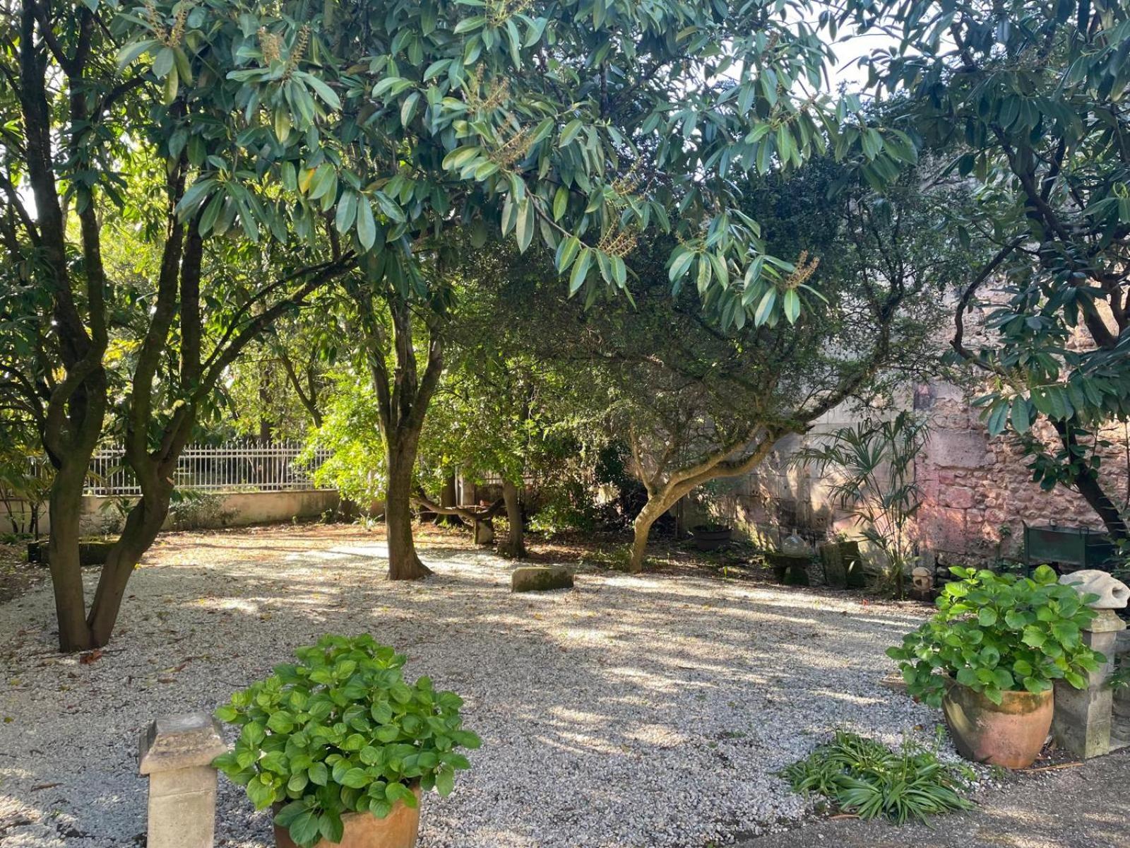 Annexe Du Pont De La Charente Apartment Chateauneuf-sur-Charente Exterior photo